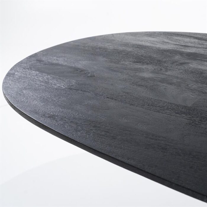 Eleonora Eettafel Aron ovaal 200x110 - zwart