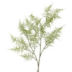 Bloomingville, Fern Stem, Green