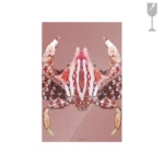 STEL ZELF SAMEN - Urban Cotton Villo Donus - Afbeelding 3