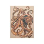 Urban Cotton Pulpo