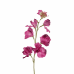 Kunsttak Pronkerwt Fuchsia