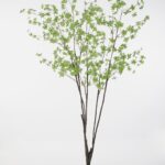 Small Leaves Plant 244cm
