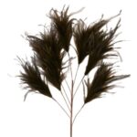 Decoratie veren - bruin