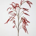 Kunsttak Amaranthus Spray 107cm rood