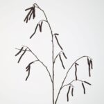 Kunsttak Catkin Branch 84cm