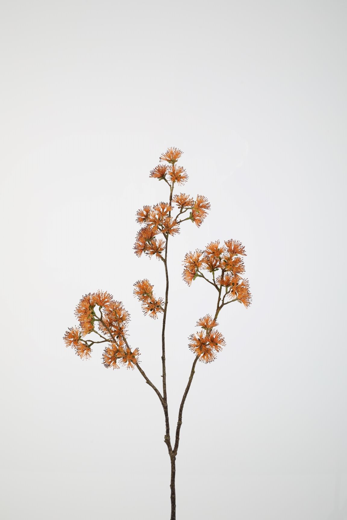 witch Kunsttak Witch Hazel Spray 89cm oranje - Afbeelding 1